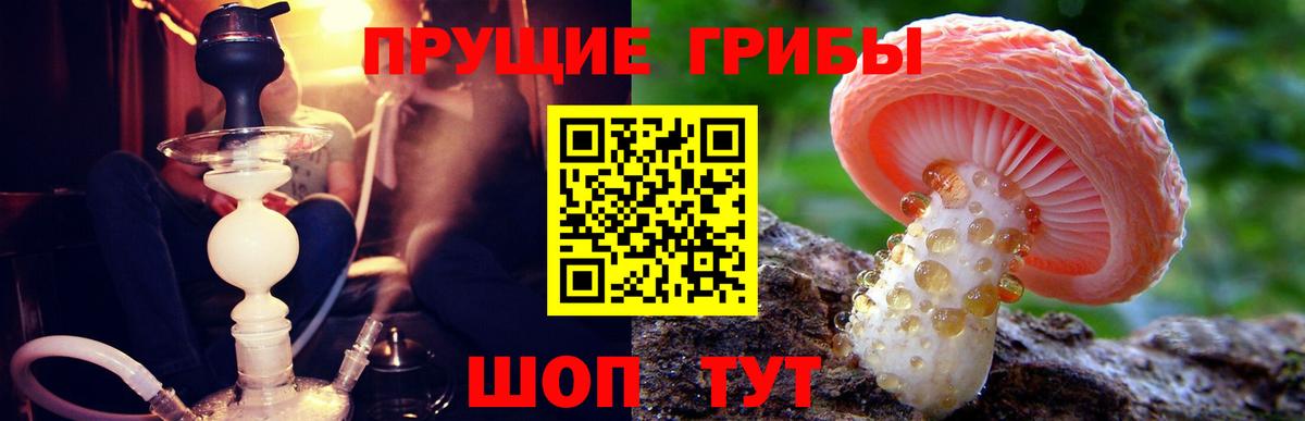 Елизово  Галлюциногенные грибы MAGIC MUSHROOMS  Вход с VPN 